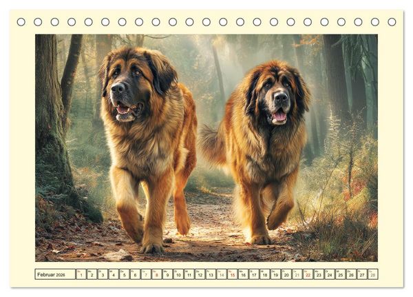 Produktbild: Der Leonberger. Majest&auml;tische L&ouml;wenhunde im Licht der Natur (Tischkalender 2026 DIN A5 quer), CALVENDO Monatskalender