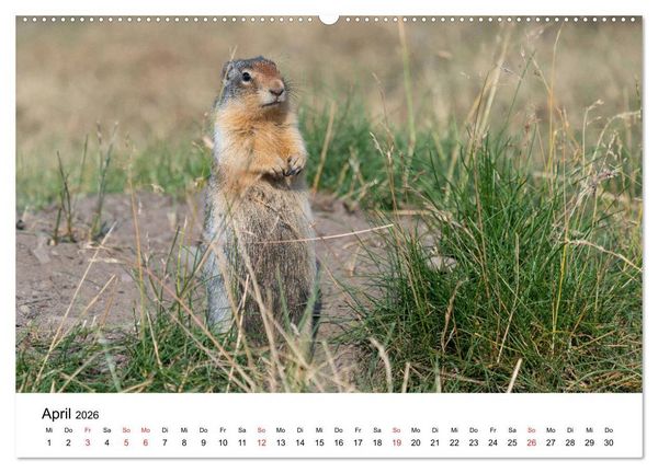 Produktbild: Fernweh Kanada - Naturerlebnis Rocky Mountains (hochwertiger Premium Wandkalender 2026 DIN A2 quer), Kunstdruck in Hochglanz