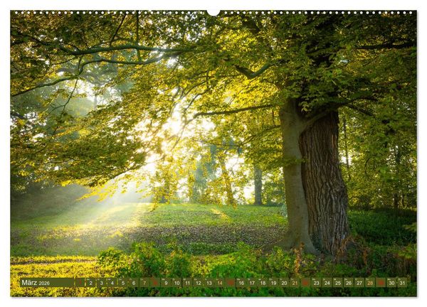 Produktbild: Herbst im Dieskauer Park (Wandkalender 2026 DIN A2 quer), CALVENDO Monatskalender