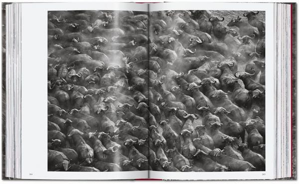 Produktbild: Sebasti&atilde;o Salgado