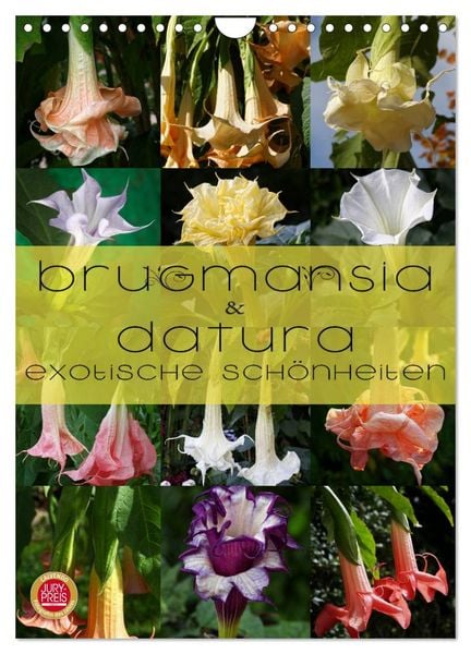 Produktbild: Brugmansia & Datura - Exotische Sch&ouml;nheiten (Wandkalender 2026 DIN A4 hoch), CALVENDO Monatskalender