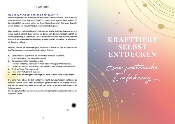 Praxisbuch Schamanische Krafttiere – Entdecke deine Seelenbegleiter