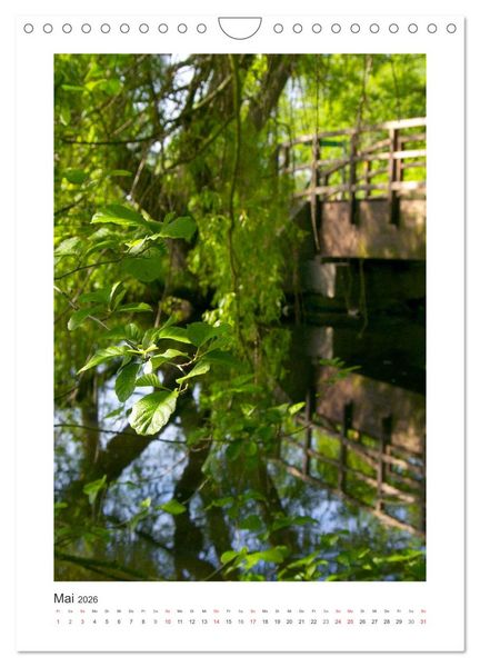 Produktbild: Impressionen aus unserem Wald (Wandkalender 2026 DIN A4 hoch), CALVENDO Monatskalender