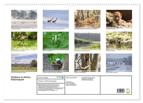 Produktbild: Wildtiere im M&uuml;ritz-Nationalpark (Wandkalender 2027 DIN A2 quer), CALVENDO Monatskalender