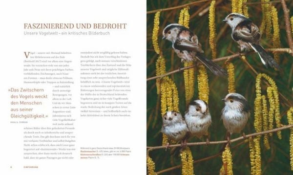 Produktbild: Unsere einzigartige Vogelwelt