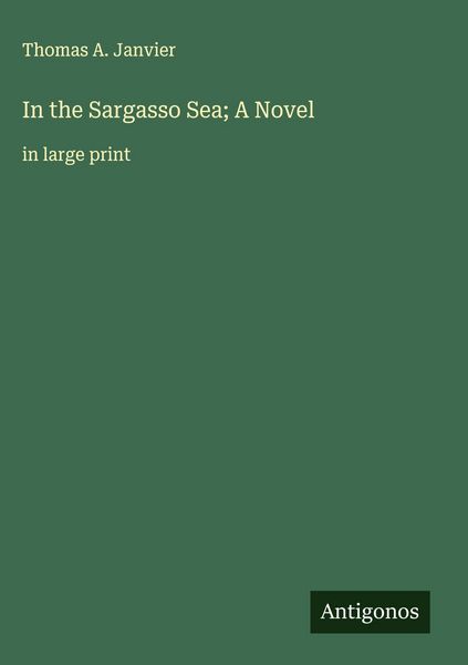 Produktbild: In the Sargasso Sea; A Novel