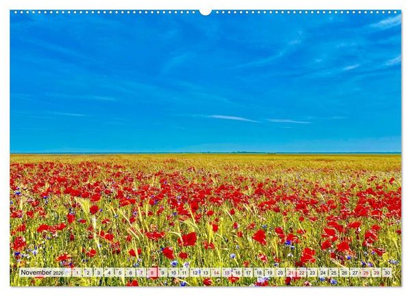 Produktbild: Fischland: zwischen Ostsee und Bodden (Wandkalender 2026 DIN A2 quer), CALVENDO Monatskalender