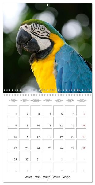Produktbild: Guadeloupe - Une &icirc;le color&eacute;e des Cara&iuml;bes (Calendrier mural carr&eacute; 2027 30x30 cm) Calendrier double avec une page pour vos prises de notes
