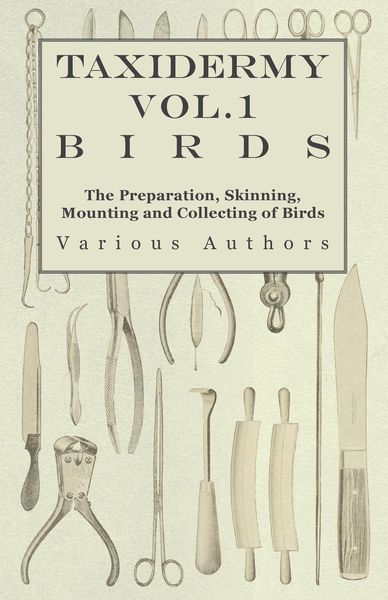 Produktbild: Taxidermy Vol.1 Birds - The Preparation, Skinning, Mounting and Collecting of Birds