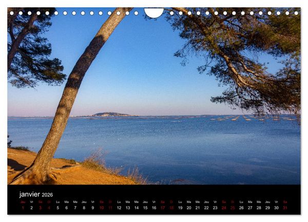 Produktbild: Nature sud de la France (Calendrier mural 2026 DIN A4 vertical), CALVENDO calendrier mensuel