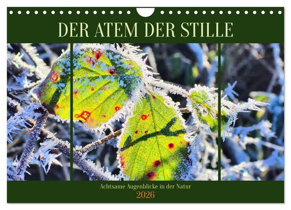 Produktbild: Der Atem der Stille - Achtsame Augenblicke in der Natur (Wandkalender 2026 DIN A4 quer), CALVENDO Monatskalender