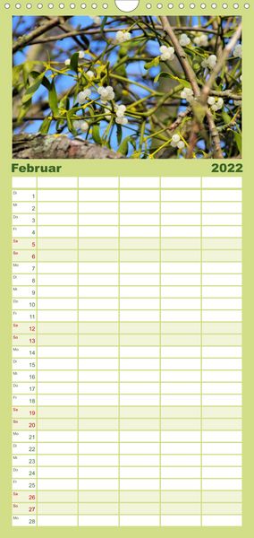 Produktbild: Familienplaner Arzneipflanzen (Wandkalender 2022 , 21 cm x 45 cm, hoch)