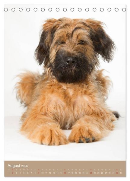 Produktbild: Hundekinder (Tischkalender 2026 DIN A5 hoch), CALVENDO Monatskalender