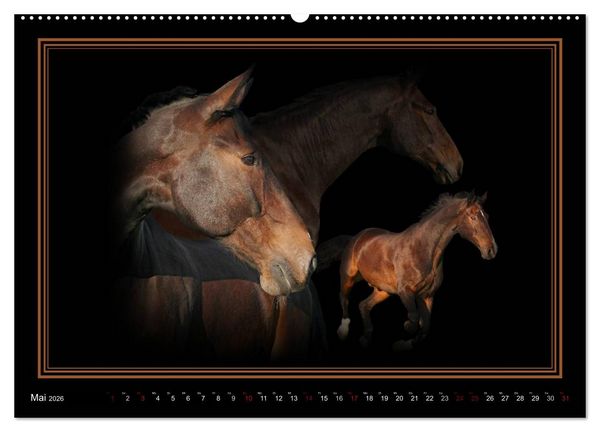 Produktbild: Traumpferde-ART-Collection (Wandkalender 2026 DIN A2 quer), CALVENDO Monatskalender