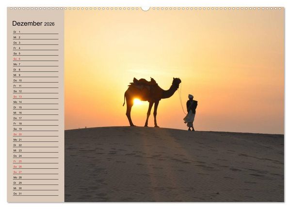 Produktbild: Kamele in der W&uuml;stensonne (hochwertiger Premium Wandkalender 2026 DIN A2 quer), Kunstdruck in Hochglanz
