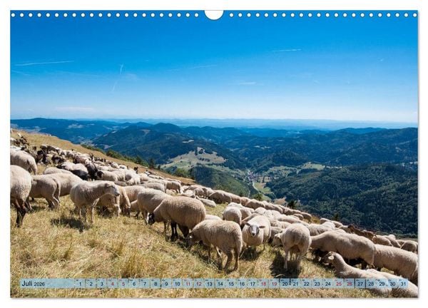 Produktbild: Nationalpark Schwarzwald &ndash; abwechslungsreiche Landschaften und urbane Impressionen (Wandkalender 2026 DIN A3 quer), CALVENDO Monatskalender
