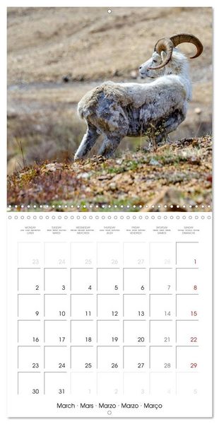 Produktbild: Wildlife in Alaska (Wall Calendar 2026 12 &times; 12 Inch) CALVENDO 12 Month Wall Calendar