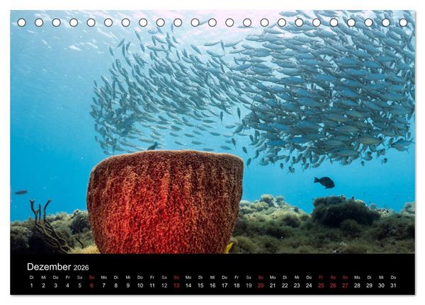 Produktbild: Tanz der Fische (Tischkalender 2026 DIN A5 quer), CALVENDO Monatskalender
