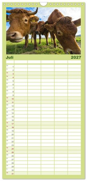 Produktbild: Familienplaner 2027 - Kuhckst du? mit 5 Spalten (Wandkalender, 21 x 45 cm) CALVENDO