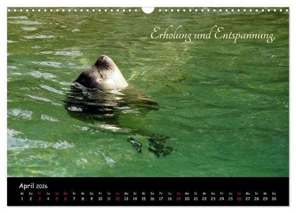 Produktbild: Gut gelaunt durch's Rentenjahr (Wandkalender 2026 DIN A3 quer), CALVENDO Monatskalender