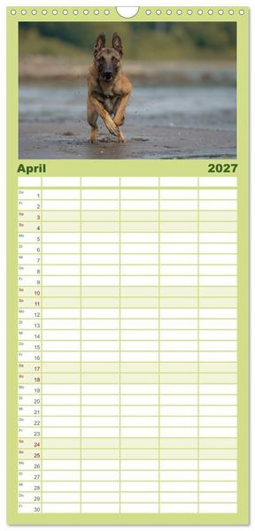 Produktbild: Familienplaner 2027 - Belgischer Sch&auml;ferhund - Der Malinois in Action mit 5 Spalten (Wandkalender, 21 x 45 cm) CALVENDO