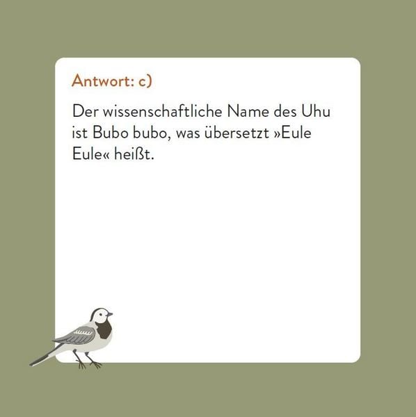 Das Vogel-Quiz