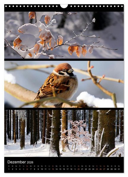 Produktbild: Bezaubernde Farben der Natur (Wandkalender 2026 DIN A3 hoch), CALVENDO Monatskalender