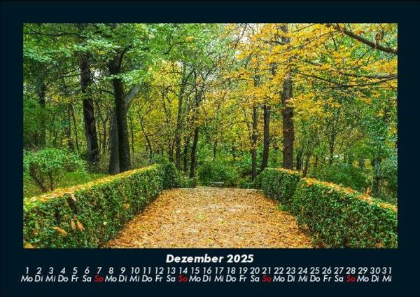 Produktbild: Natur 2025 Fotokalender DIN A5