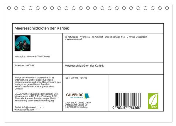 Produktbild: Meeresschildkr&ouml;ten der Karibik (Tischkalender 2026 DIN A5 quer), CALVENDO Monatskalender