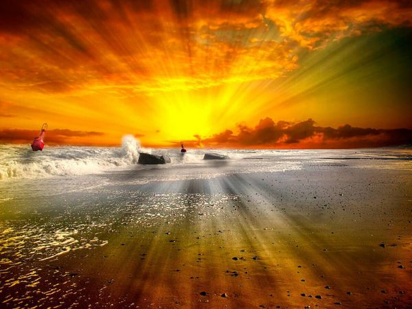 Produktbild: CALVENDO Puzzle Ein Motiv aus dem Kalender Friesland - verzauberte BIlder einer Landschaft an der Nordsee | 1000 Teile Lege-Gr&ouml;&szlig;e 64x48cm Foto-Puzzle f&uuml;r gl&uuml;ckliche Stunden