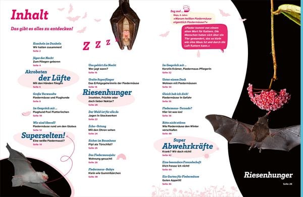 Produktbild: WAS IST WAS Flederm&auml;use. Flink durch die Nacht
