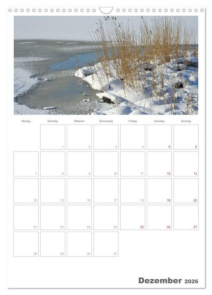 Produktbild: Insel R&uuml;gen / Planer (Wandkalender 2026 DIN A3 hoch), CALVENDO Monatskalender