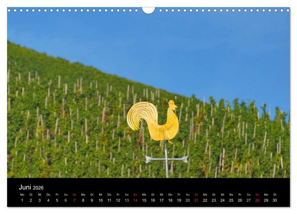 Produktbild: Sch&ouml;ne Mosel (Wandkalender 2026 DIN A3 quer), CALVENDO Monatskalender