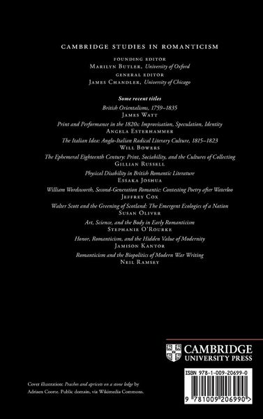Produktbild: Jane Austen and Other Minds