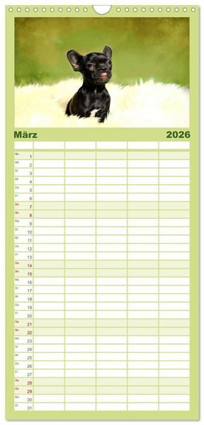 Produktbild: Familienplaner 2026 - Franz&ouml;sische Bulldoggen mit 5 Spalten (Wandkalender, 21 x 45 cm) CALVENDO