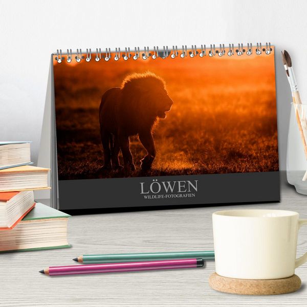 Produktbild: L&ouml;wen Wildlife-Fotografien (Tischkalender 2026 DIN A5 quer), CALVENDO Monatskalender