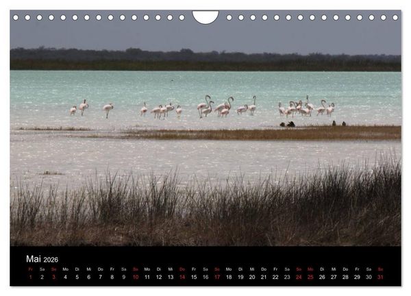 Produktbild: Abenteuer Madagaskar (Wandkalender 2026 DIN A4 quer), CALVENDO Monatskalender