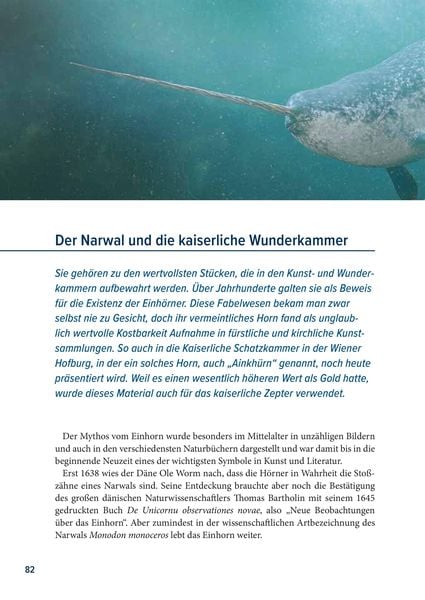Produktbild: Der Rabe und der schlechte Leumund