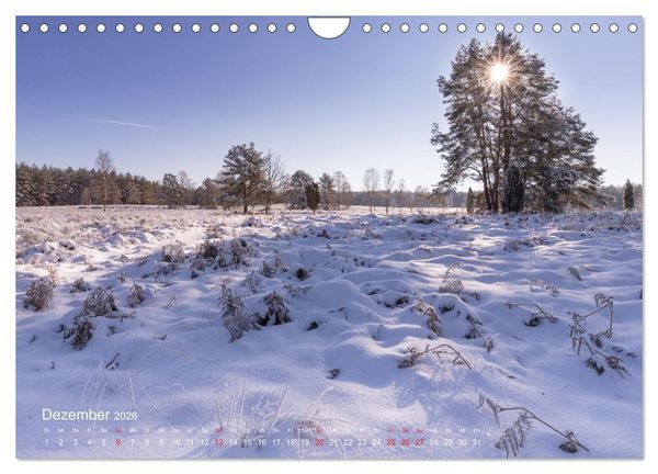 Produktbild: Deutschland Blicke in die Natur (Wandkalender 2026 DIN A4 quer), CALVENDO Monatskalender