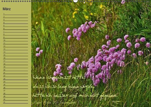 Produktbild: Vergiss mein nicht Geburtstagskalender (Wandkalender immerw&auml;hrend DIN A2 quer)