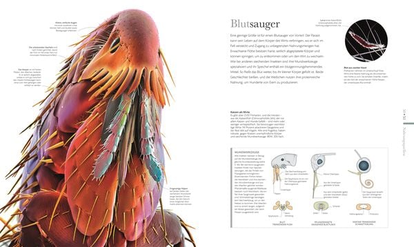 Produktbild: Mikrokosmos - Wunderwelt der kleinsten Lebewesen