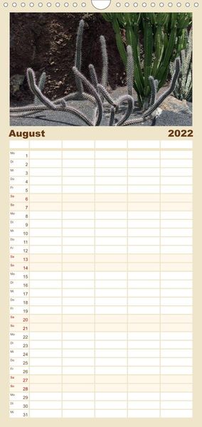 Produktbild: Familienplaner Faszination Kakteen (Wandkalender 2022 , 21 cm x 45 cm, hoch)