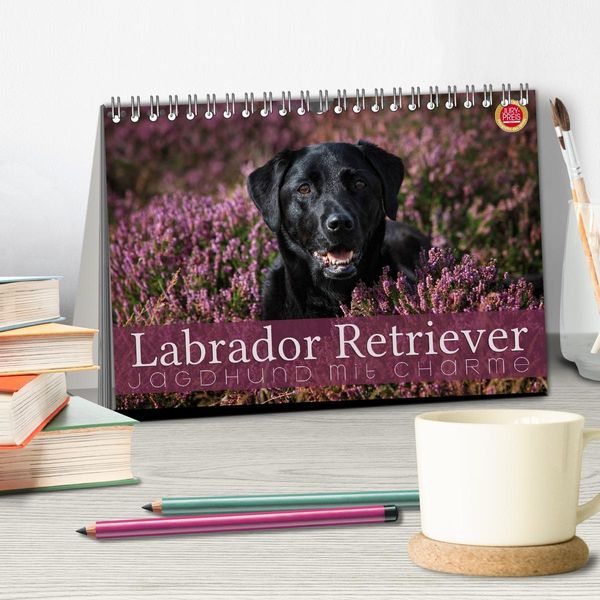 Produktbild: Labrador Retriever - Jagdhund mit Charme (Tischkalender 2026 DIN A5 quer), CALVENDO Monatskalender