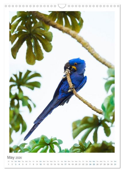 Produktbild: Pantanal Wildlife Photography (Wall Calendar 2026 DIN A3 portrait), CALVENDO 12 Month Wall Calendar