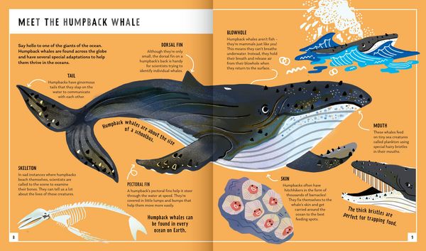 Produktbild: Humpback Whale (Young Zoologist)