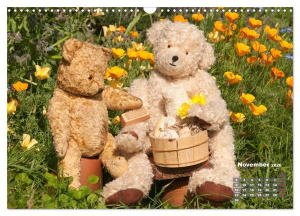 Produktbild: Geliebte B&auml;ren - Teddys (Wandkalender 2026 DIN A3 quer), CALVENDO Monatskalender