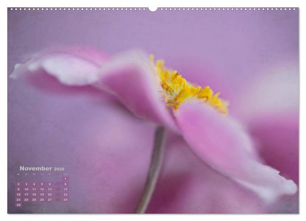 Produktbild: Zauberhafte Bl&uuml;ten (Wandkalender 2026 DIN A2 quer), CALVENDO Monatskalender