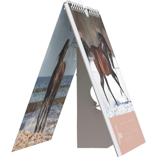 Produktbild: Traumpferde 2026 - Postkartenkalender 16x17 cm - Horses - zum Aufstellen oder Aufhängen - Monatskalendarium - Gadget - Mitbringsel - Alpha Edition
