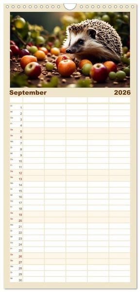 Produktbild: Familienplaner 2026 - Igel - Wildtier des Jahres 2024 mit 5 Spalten (Wandkalender, 21 x 45 cm) CALVENDO