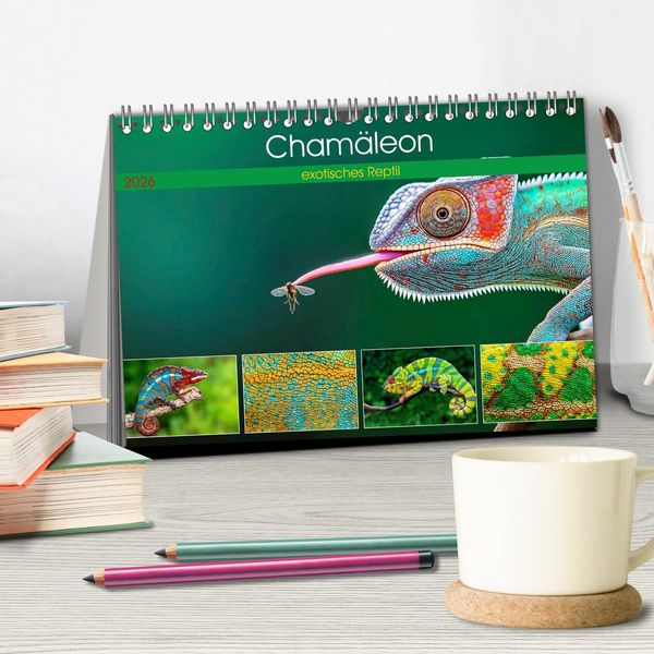 Produktbild: Cham&auml;leon - exotisches Reptil (Tischkalender 2026 DIN A5 quer), CALVENDO Monatskalender